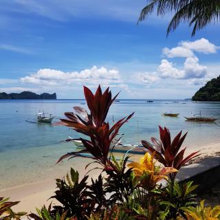 Golden Monkey Beach Hotel - El Nido - 8