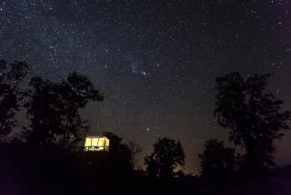 Jamtara Wilderness Camp - Pench National Park - Chhindwāra - 1