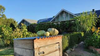 Belkampar Retreat - Authentic Farm Style Home - Perfect For Families and Large Groups! - Bonnie Doon - 8