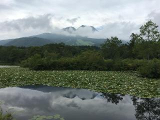 Myoko Woodland Lodge - Myoko - 1