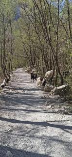 Villa ZORA, Starigrad Paklenica, Seline - 4