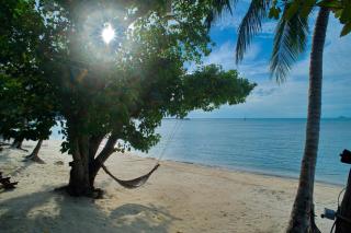 At Samui Haus - Lipa Noi - 5