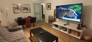 apartment 50m from historic town 5min Beach Palais Croisette - Free private parking - Cannes - 0