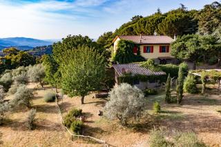 Podere le Muricce - Cavriglia - 7