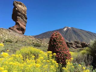 Estancia 1205 - 5