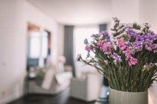 QUINTA TORRINHA PANORAMA Apartment - 3