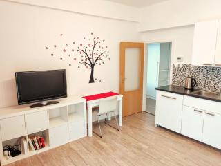 Apartment Žižkov - Prag - 0