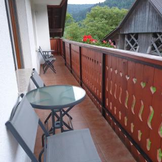 Apartmaji Pri Medvedu - 8