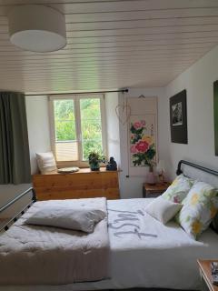 Agréable chambre d'hôtes, au calme, dans la nature - Roches - 5