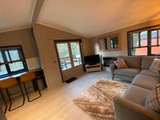L19 - Penrhyn Spa Lodge with Hot Tub - Bethesda - 1