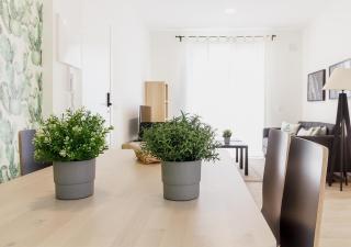 Moderno apartamento urbano en barrio histórico 3ºI - Santa Cruz de Tenerife - 5