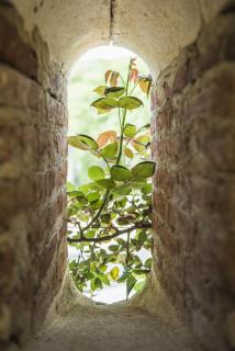 Chapel Cottage - La Bachellerie - 3