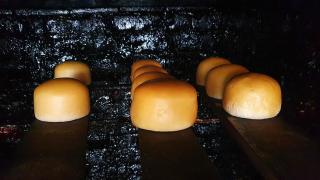 Cazare la fermă - 5