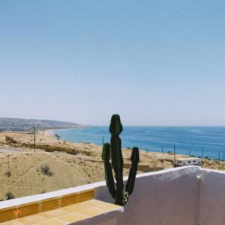 Cozy Surf House - Taghazout - 6