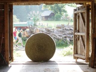 Urlaub am Bio-Bauernhof Liebchen - Zeutschach - 1