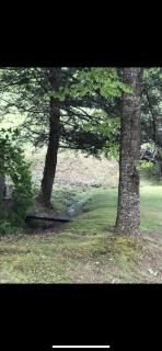 Cute Little Cabin (Near the Nantahala River) - Topton - 3