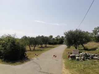 Holiday house Tunjarice - Obrovac (Obrovazzo) - 9