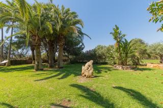 Finca Jardi - Cala D'or - 1