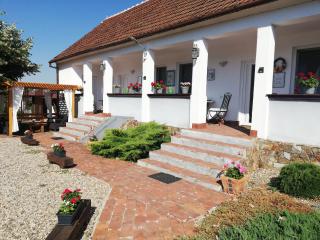 Casa Ago - Guest House - Păuliş - 9