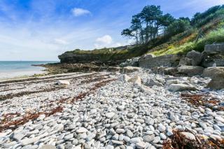 Cae'r Borth - Moelfre - 5