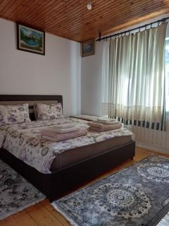 Aprartman Nikola - Žabljak - 9