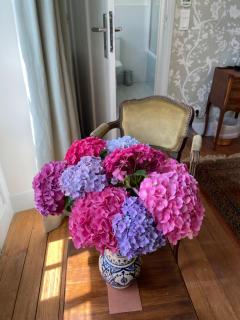 Saint Sever des Pyrenees - 2