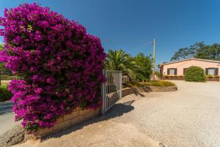 RESIDENCE APPARTAMENTI 'ELBA SERENA' - Capoliveri - 3