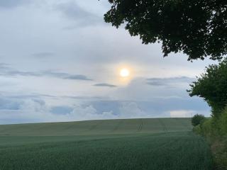 Romantic Shepherds hut with stunning sunsets - Hollingbourne - 3