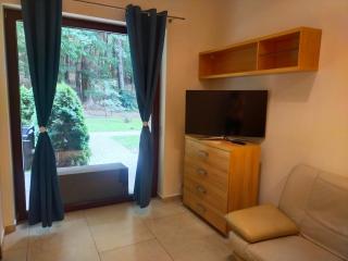 Apartament Przy Parku Wisełka - Wisełka - 6