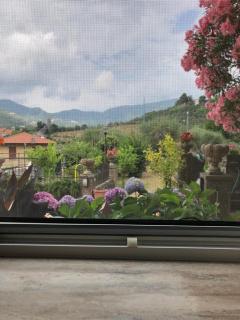 CASA GAIA - Limoncello - parcheggio privato incluso - Levanto - 8