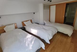 Fernandes House - Paredes de Coura - 8