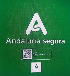 APARTAMENTOS RURALES MIRADOR DEL NEGRATíN - Cuevas del Campo - 7