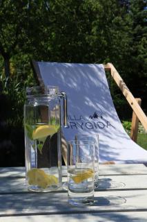 Willa Brygida Spa - 8