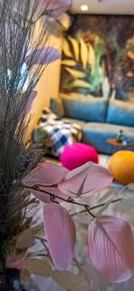 Malac-new equipped studio apartment within the city core - Novi Sad - 8