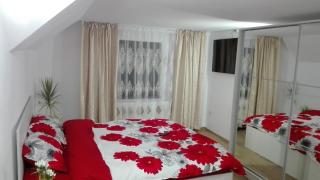 Casa Berbec - Dealul Viei - 5