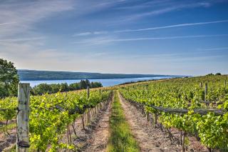 Finger Lakes Farm Retreat Walk to Wineries! - 9
