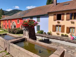 La maison du vannier - Raon-lès-Leau - 4