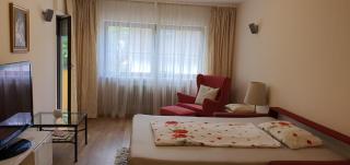 Colibri Apartment - Baden-Baden - 6