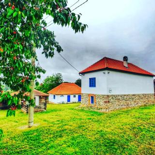 Domacinstvo Pajovic - Gornji Milanovac - 2