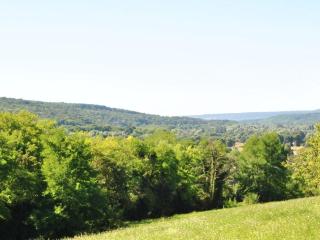 Chalet au calme avec terrasse, acceptant les animaux, parking et Wi-Fi inclus - FR-1-584-108 - 8