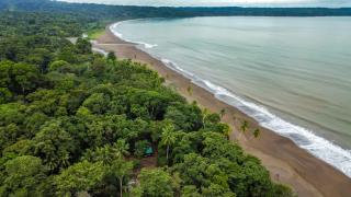 Playa Ganadito Ecolodge - Drake - 6