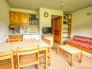 Appartement cosy 1 chambre, balcon au sud, casier à skis - FR-1-642-64 - Morillon - 0
