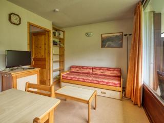 Appartement cosy 1 chambre, balcon au sud, casier à skis - FR-1-642-64 - Morillon - 9