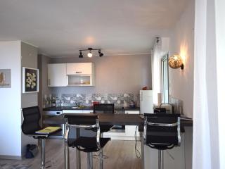 Appartement moderne avec balcon à Évian-les-Bains - FR-1-498-80 - Évian-les-Bains - 9
