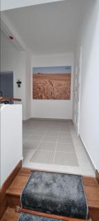 Casa Al'entejo - Ferreira do Alentejo - 8