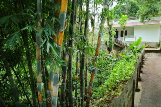 Spring and Valley View - Thekkady - 2