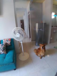 Apartamento Ricaurte - KASSANJA - Ricaurte - 2