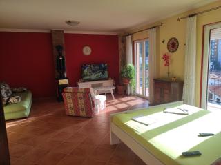 Guesthouse Djacic - Budva - 7