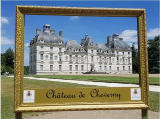 Le Beauval enchanté proche zoo & châteaux de la Loire - Mareuil-sur-Cher - 6