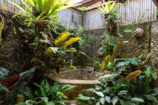 Bali Firefly BnB - Ubud - 3
